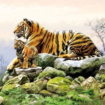 Ubrousek - Tygři