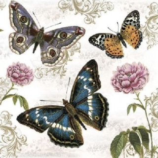 Ubrousek - Motýlci