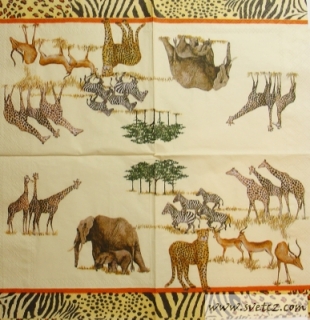 Ubrousek - Safari