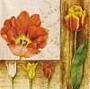 Ubrousek - Tulipány v rámu
