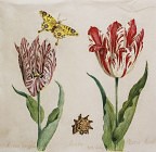 Ubrousek - Květiny a motýl
