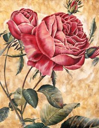 Reprodukce - Růže 2(20x25cm)