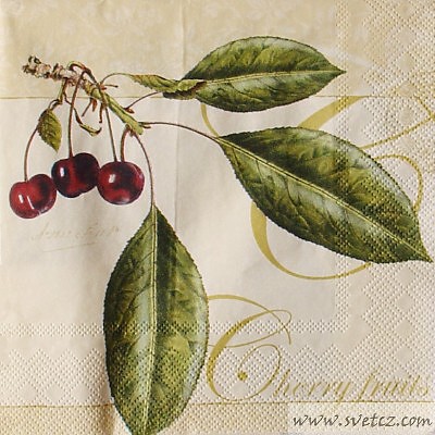 Ubrousek - Cherry fruits