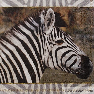 Ubrousek - Zebra