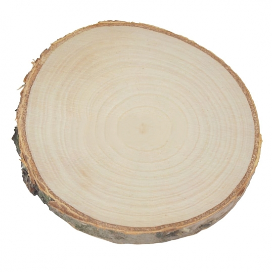 Dřevěné KOLEČKO Z BŘÍZY - plátek s kůrou (5-6cm)