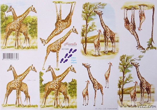 3D papír - Žirafy