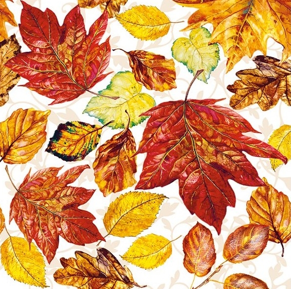Ubrousek - Podzimní listy