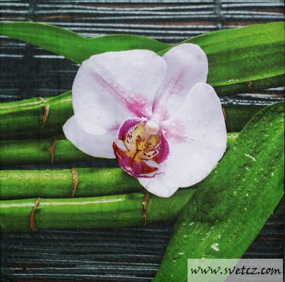 Ubrousek – Bambus a orchidej