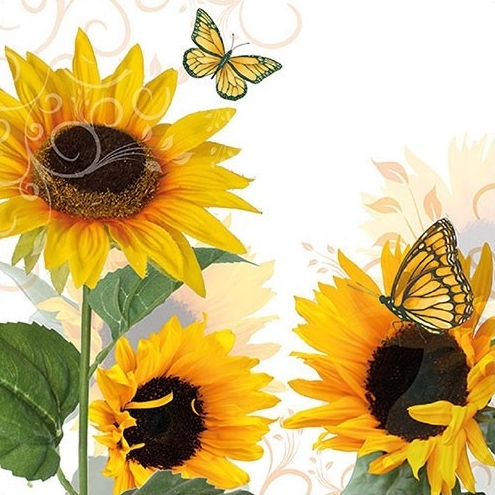 Ubrousek - Slunečnice a motýlci