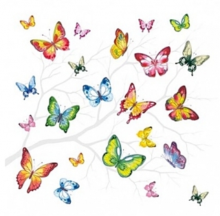 Ubrousek - Motýlci 6