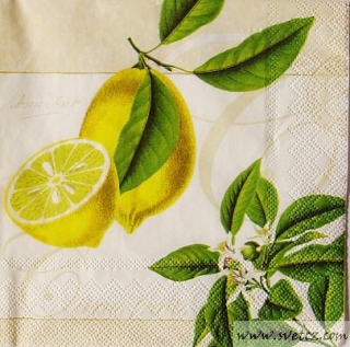 Ubrousek - Citrus fruits