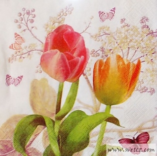 Ubrousek - Tulipány a motýlci