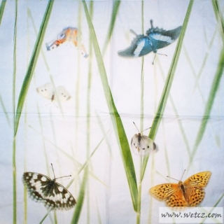 Ubrousek - Šest motýlů