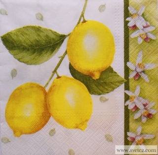 Ubrousek - Citrony 2