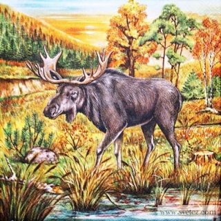 Ubrousek - Sob