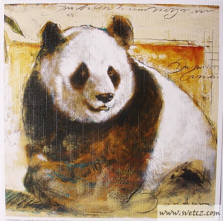 REPRODUKCE - Panda(18x18cm)