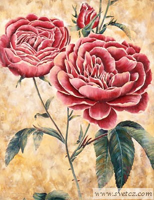 Reprodukce - Růže 1(20x25cm)