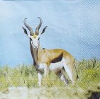 Ubrousek - Antilopa