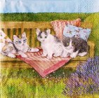 Ubrousek - Koťata na lavici