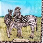 Ubrousek - Safari zebry