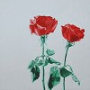 Ubrousek - Červené růžičky