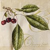 Ubrousek - Cherry fruits