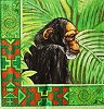 Ubrousek - ZOO Opice