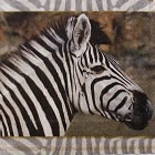 Ubrousek - Zebra 1