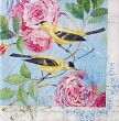 Ubrousek - Růže a ptáčci