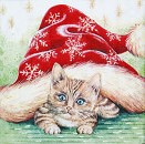 Ubrousek - Vánoční kočička