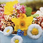 Ubrousek - Jarní květy 1