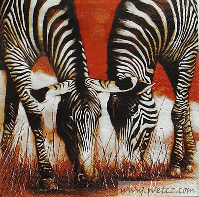 Ubrousek - Zebry na pastvě