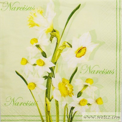 Ubrousek - Narcisky zelené