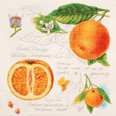 Ubrousek - Orange